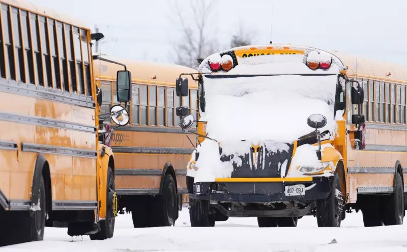 Major Snowfall Forces Widespread School Bus Cancellations Across Ontario