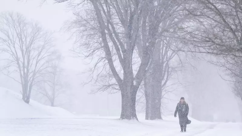 Major Snowstorm Hits Atlantic Canada: Warnings for Nova Scotia and P.E.I.