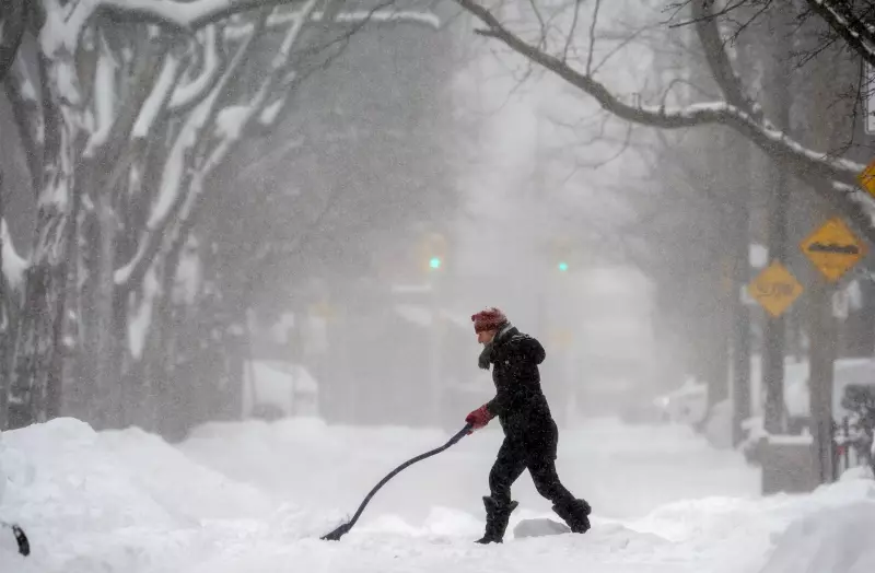 Major Snowstorm Surprises GTA: Why Thursday's Blast Caught Toronto Off Guard