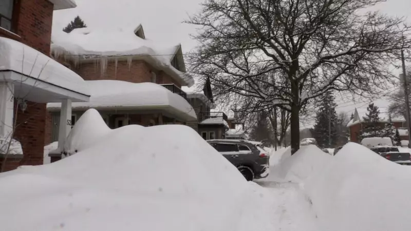 Major Winter Storm Hits Ontario: Up to 30 cm of Snow, Widespread Closures