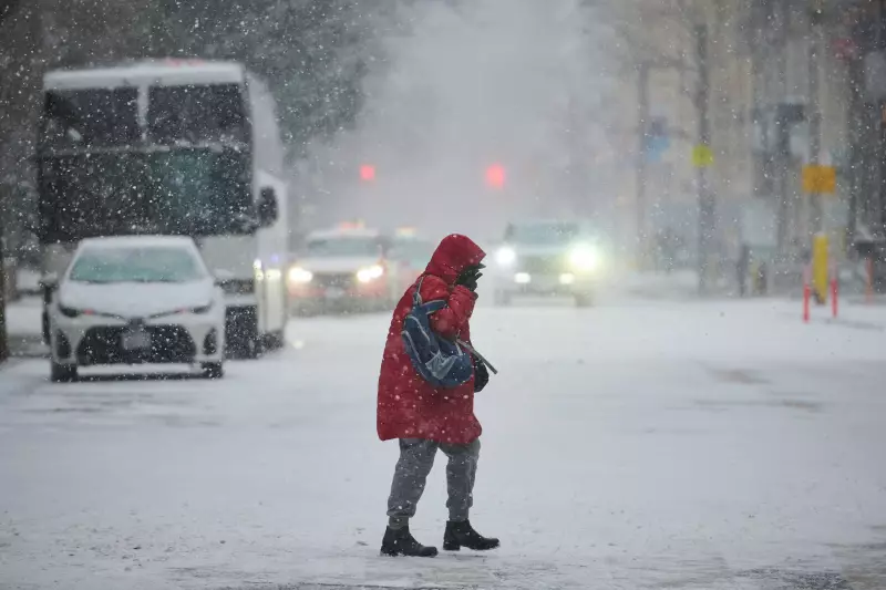 Major Winter Storm Targets Toronto and GTA with Up to 40 cm of Snow