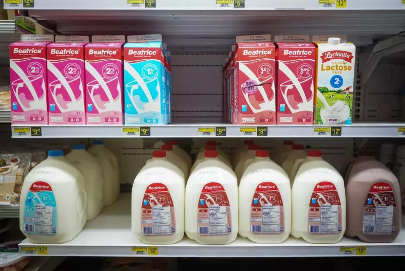 Manitoba Grocers Squeezed by Milk Price Freeze, Warn of Financial Strain