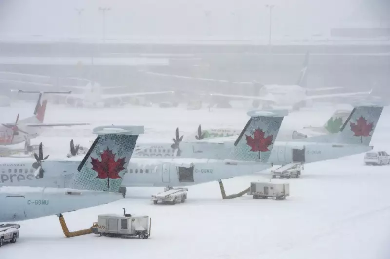 Massive Snowstorm Paralyzes Most of Canada, Halting Flights and Closing Schools