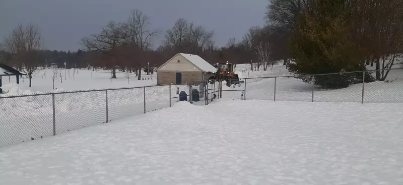 Midland's Little Lake Dog Park to Get New Small-Dog Area, Splash Pad in 2026