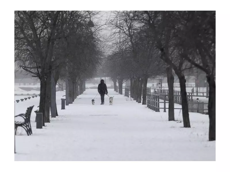 Montreal Braces for Polar Vortex: Wind Chills to Approach -40°C This Weekend