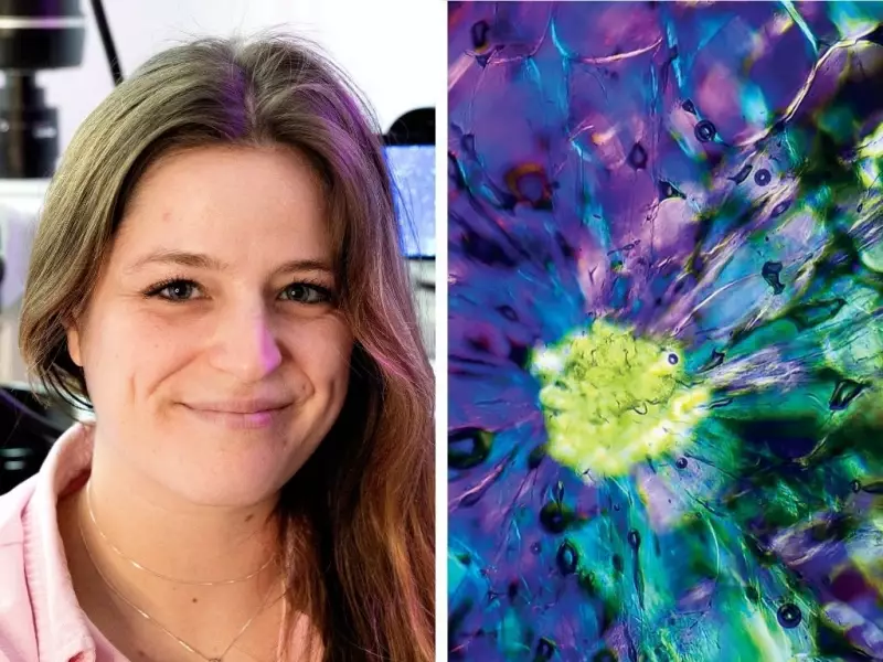 Montreal Microbiologist's Microscopic Art Attracts 1M Instagram Followers