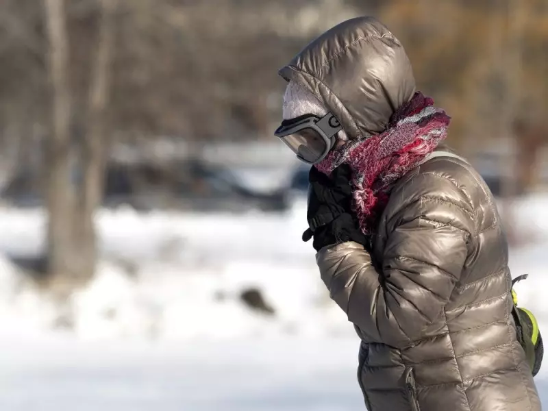 Montreal Snowfall Closes Schools, Disrupts Flights Amid Power Outages