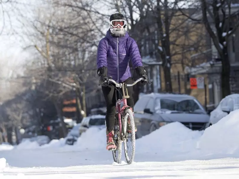 Montreal Weather: A Sunny Break from Winter's Seesaw on Jan. 18