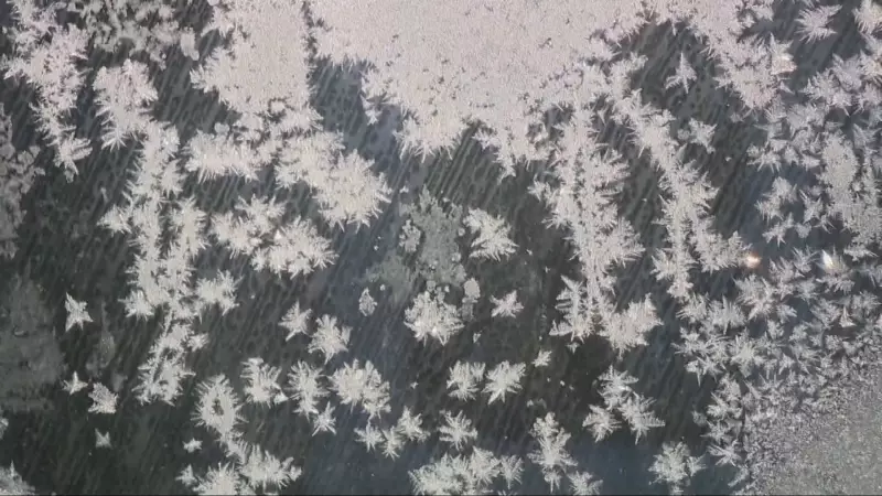 Montreal's NDG and Côte Saint-Luc Open Warming Centers Amid Extended Power Outage