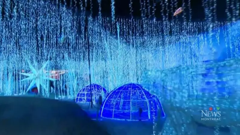 Montreal's Weekend Guide: Top Events & Activities for Jan. 8-11, 2026