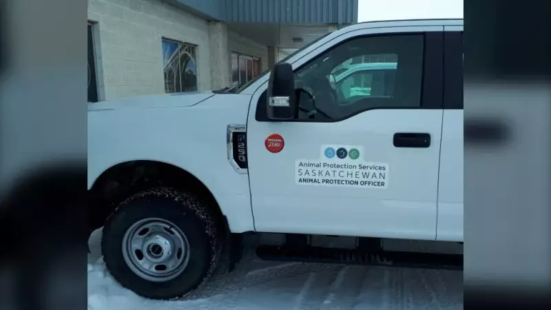 Moose Jaw Man Sentenced to 4 Months for Role in Dog Death