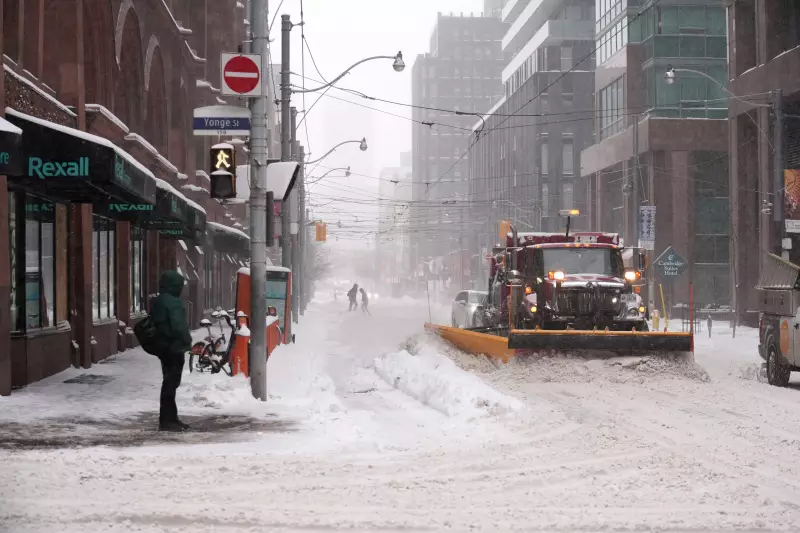 More Snow Forecast for GTA Friday as Toronto Digs Out from Major Winter Storm