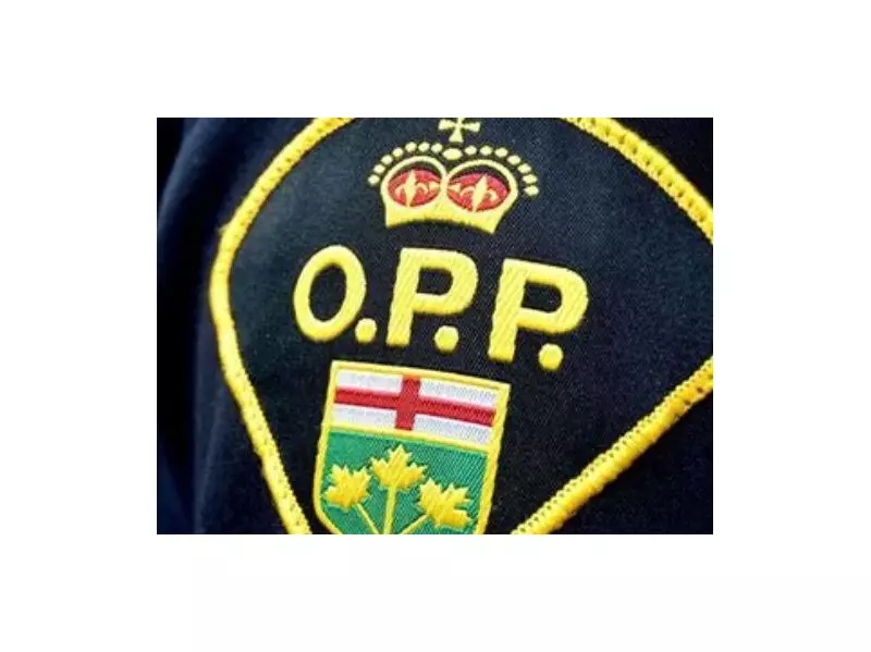 Multi-Vehicle Crash Involving Transport Truck Closes Highway 400 Northbound