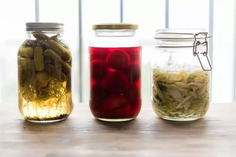 New Report Urges Canada to Prioritize Research on Fermented Foods for Public Health