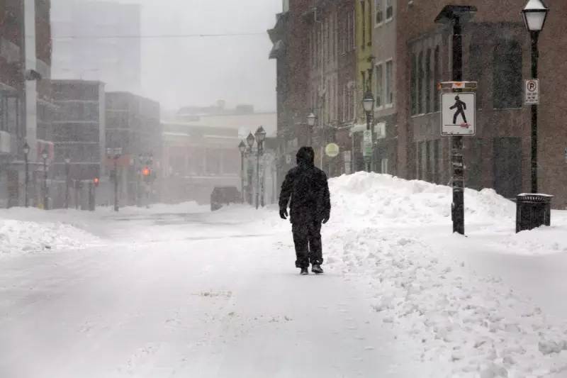 N.L.'s East Coast Braces for 'Hazardous' Winter Storm with High Winds and Snow