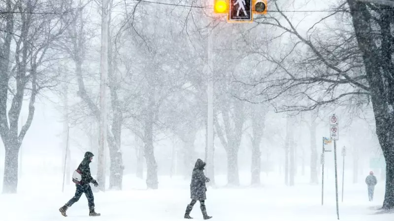 Nor'easter Forces Widespread Closures and Delays Across Maritime Provinces