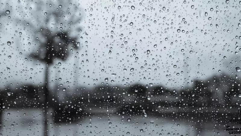 Northern Ontario Weather Alert: Rain Warnings Issued for Northeast, Snow Expected Elsewhere