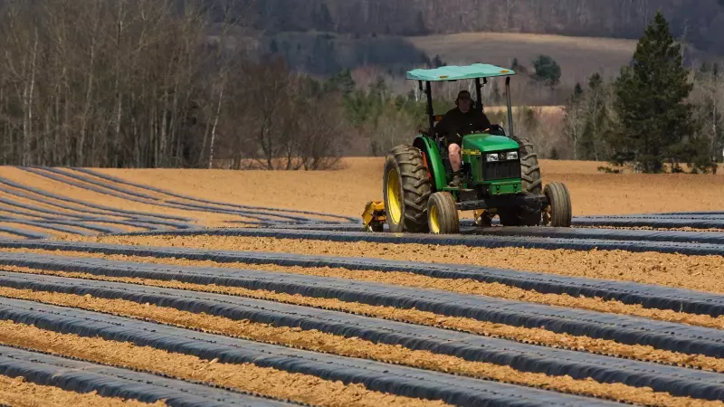 Nova Scotia to Offer 10% Discount on Farm Share Subscriptions in 2026