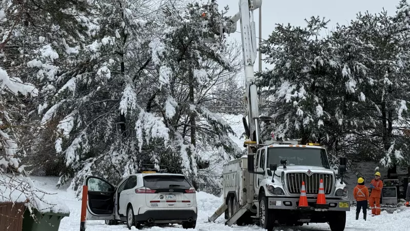 NS Power crews battle poor conditions to restore electricity after snowstorm