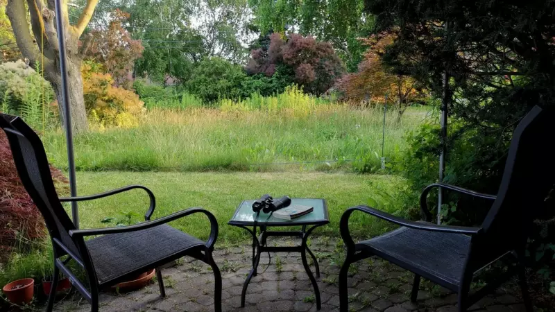 Ontario Court Rules Mississauga Lawn Bylaw Violated Homeowner's Free Speech