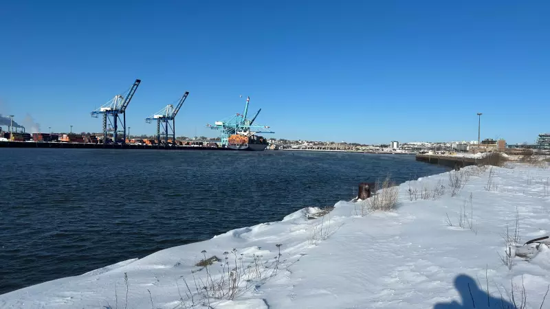 Ontario's Exports Surge Through Port Saint John, More Than Doubling Trade Volume