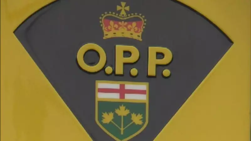 OPP Investigate Fatal Shooting on Walpole Island, 63-Year-Old Victim Pronounced Dead