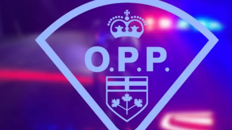 OPP Issues Public Warning After Dog Attack in Windsor-Essex