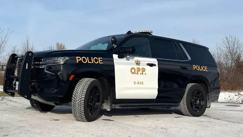 OPP Seek Witnesses to Fatal Hit-and-Run on Hwy. 401 in Mississauga