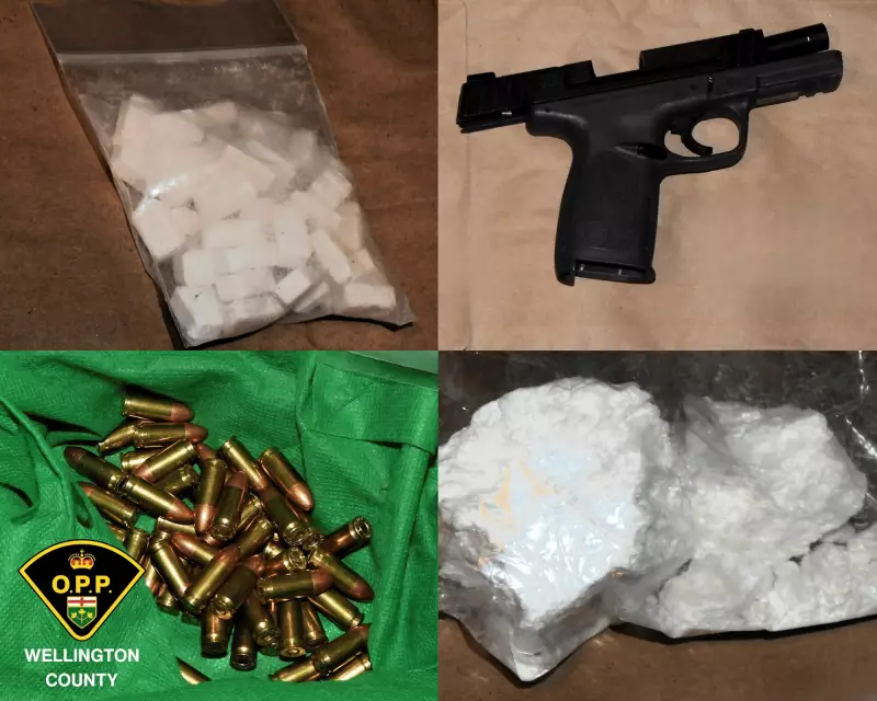 OPP Seize $24K in Drugs, Guns, and Cash in Milton Home Raid
