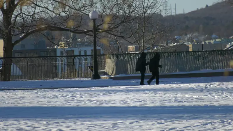 Ottawa Braces for Deep Freeze: City Activates Cold Weather Response as Temperatures Plummet