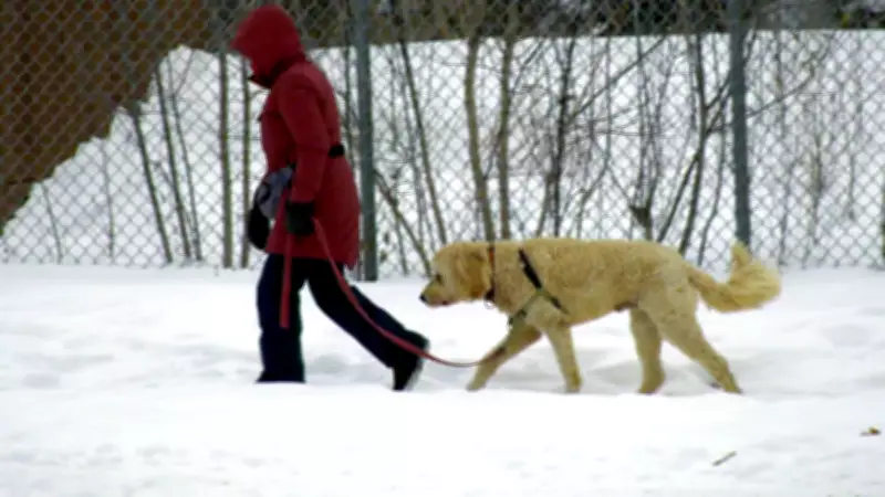 Ottawa Braces for Extreme Cold: Flurries and -31°C Wind Chill Expected Overnight