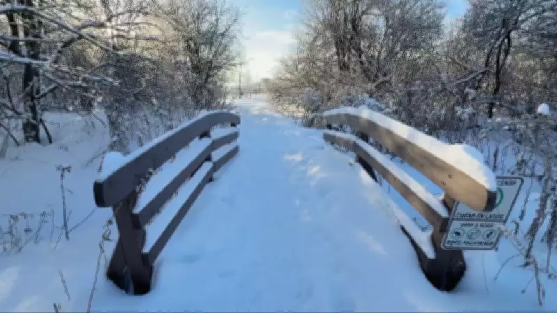 Ottawa Braces for Extreme Cold with Wind Chill Making It Feel Like -35°C