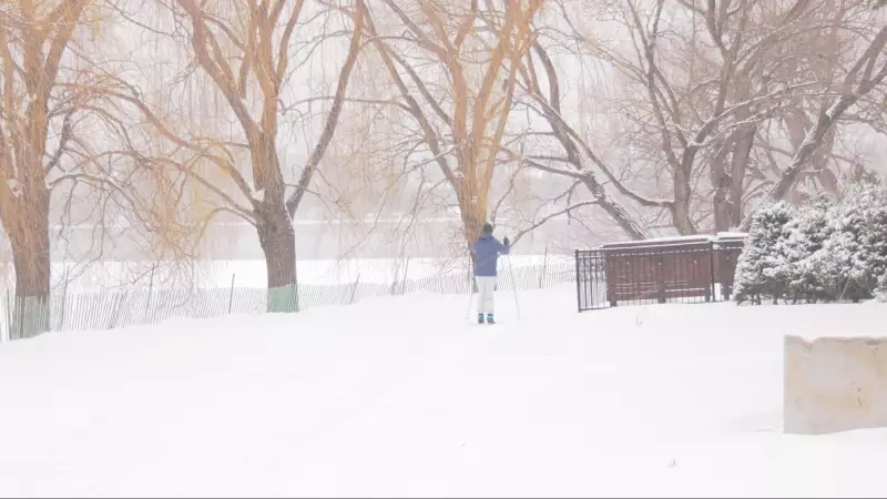 Ottawa Braces for Sunday Flurries: Light Snow Expected Across the Capital