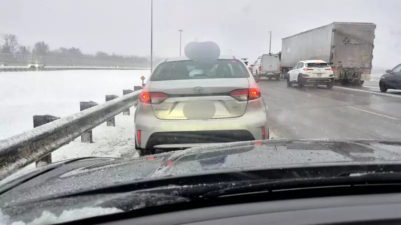 Ottawa Driving Instructor Fined for Scrolling on Phone While Driving