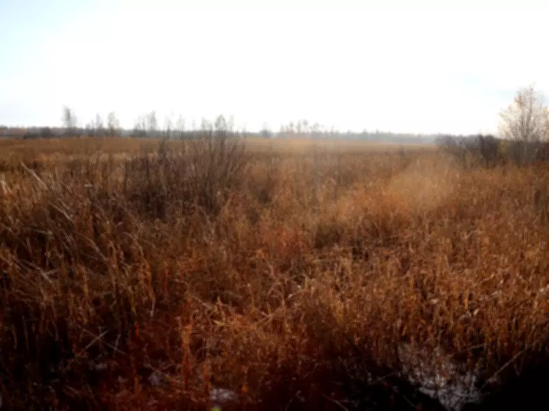 Ottawa Finalizes $95M Landfill Acquisition Near Carlsbad Springs Amid Resident Concerns