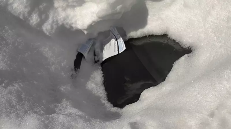 Ottawa Issues $1.6M in Fines During Winter Parking Bans