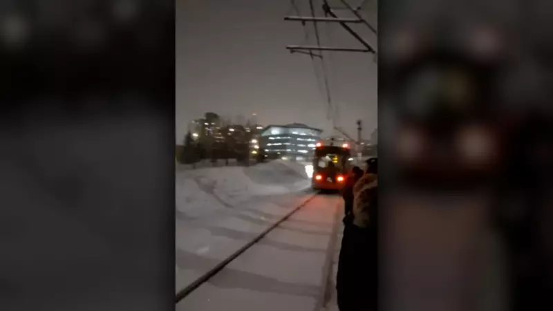 Ottawa LRT Passengers Forced to Walk Tracks After Train Stalls in Snow