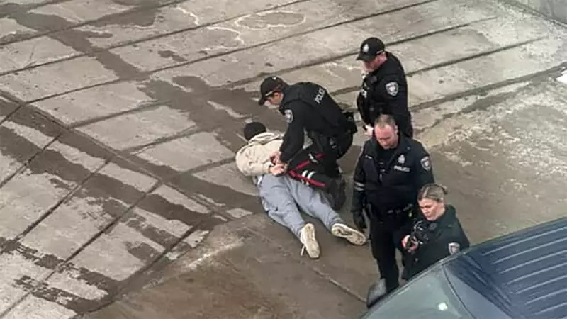 Ottawa Police Arrest Five Men in Major Westboro Drug Operation