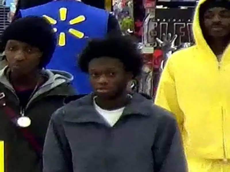 Ottawa Police Seek Three Suspects in Aggressive Box Store Theft Spree