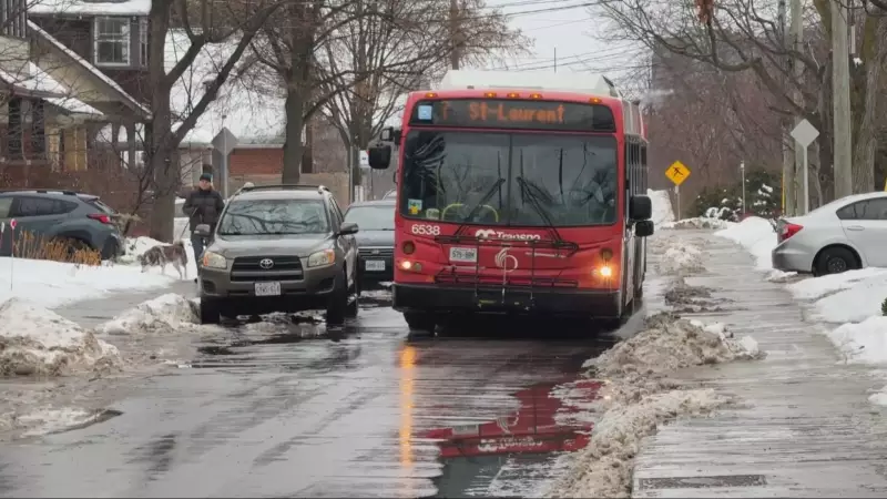 Ottawa's Grove Avenue: Residents Decry Narrow Lanes, Snowbanks as Traffic Hazards
