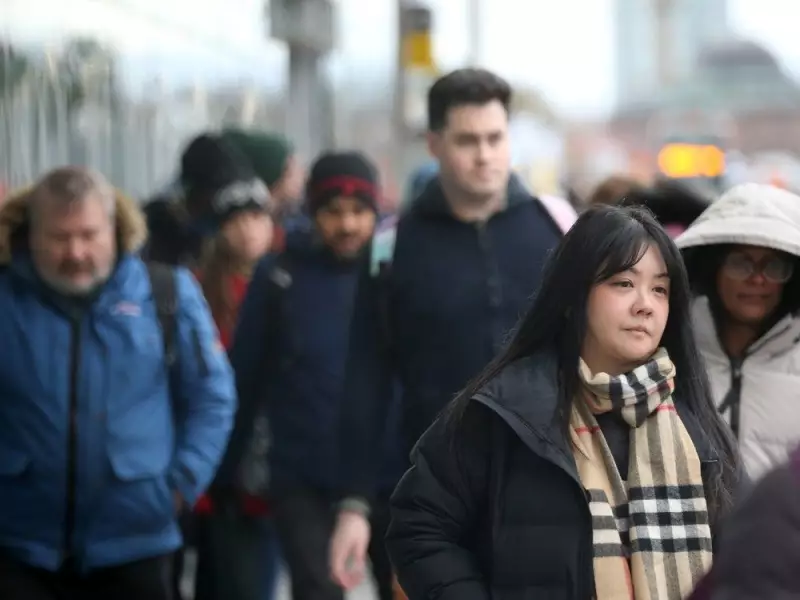 Ottawa's Private Job Market Faces Challenges Amid Public Sector Cuts