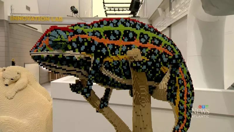 Over 1 Million Lego Bricks Build Animal Kingdom at Halifax Discovery Centre