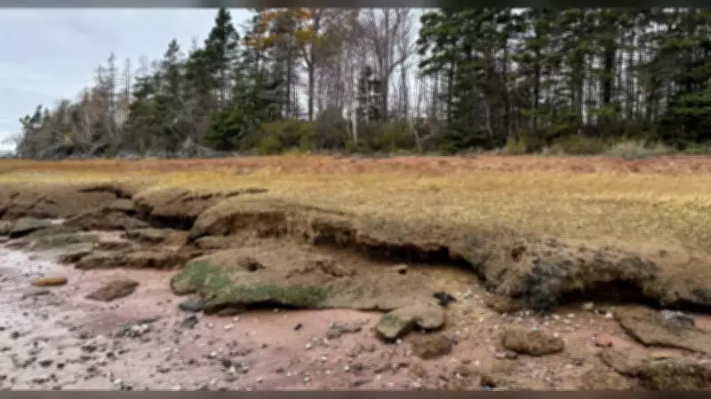 P.E.I. Announces Shoreline Protection Project Near Charlottetown Hospital