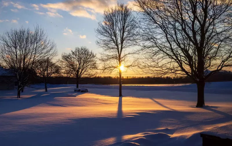 Persistent Cold and Blowing Snow Forecast for London Region Throughout the Week