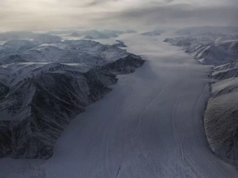 Poll: Majority of Canadians Oppose U.S. Greenland Takeover, Urge Ottawa Protest