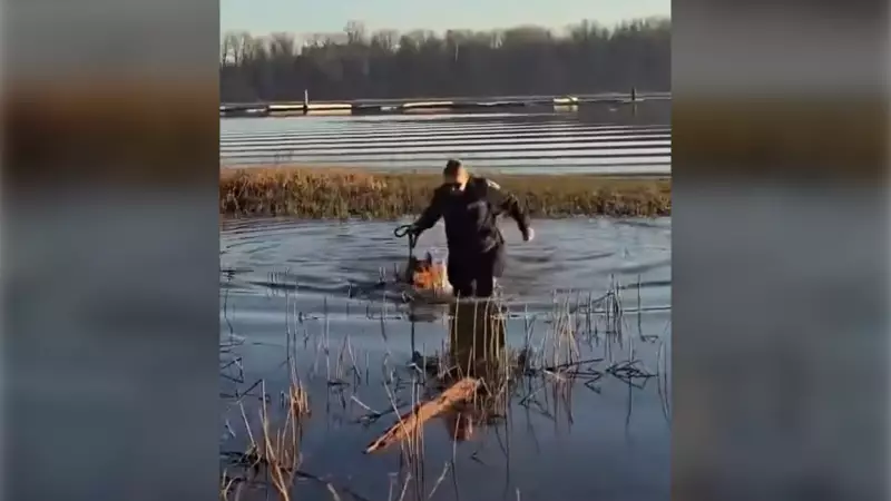 Port Coquitlam City Staff Praised for Fraser River Dog Rescue Operation