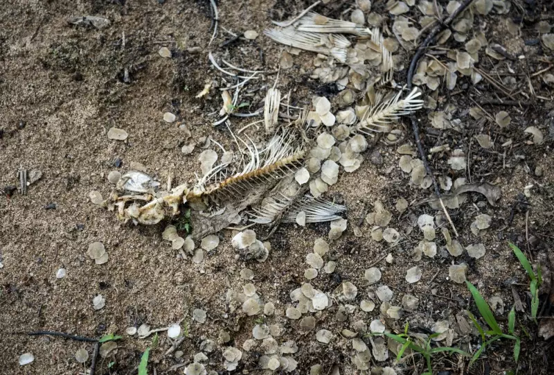 Quebec Chemical Firm Fined $1.4M for 2019 River Pollution