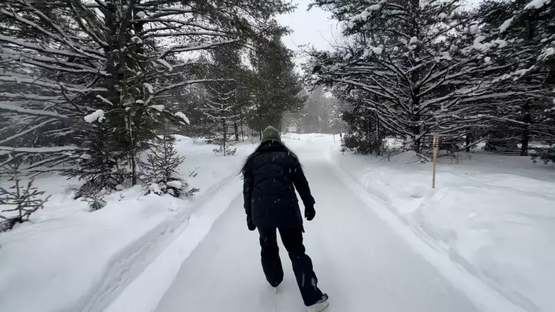 Quebec's Forest Ice Trail Emerges as a Premier Winter Destination