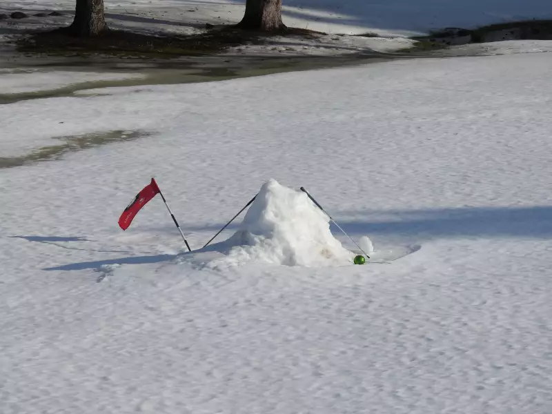 Record-Breaking Warmth Hits Alberta, Smashing January Temperature Records