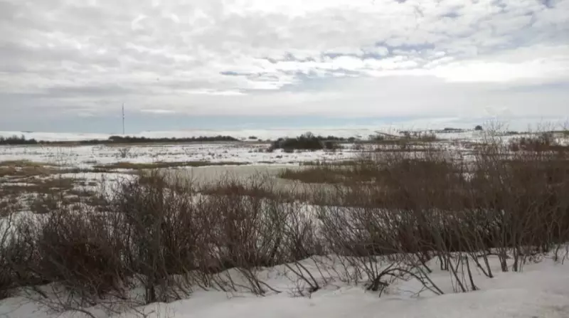 Record Warmth in Saskatchewan: Farmers Assess Impact on 2026 Crops